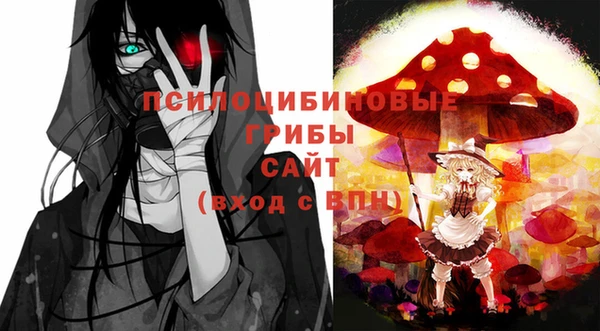 гашик Абаза