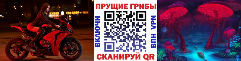 ссылка на мегу ТОР  Дедовск  Псилоцибиновые грибы мицелий 