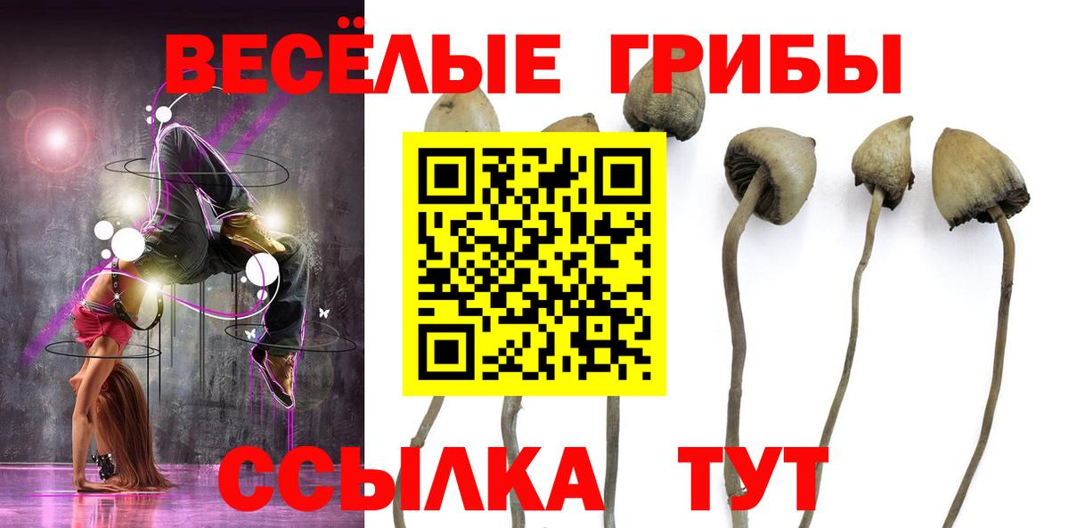 Галлюциногенные грибы Psilocybe  Вход с VPN  Дедовск 
