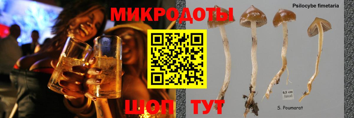 Галлюциногенные грибы MAGIC MUSHROOMS Дедовск